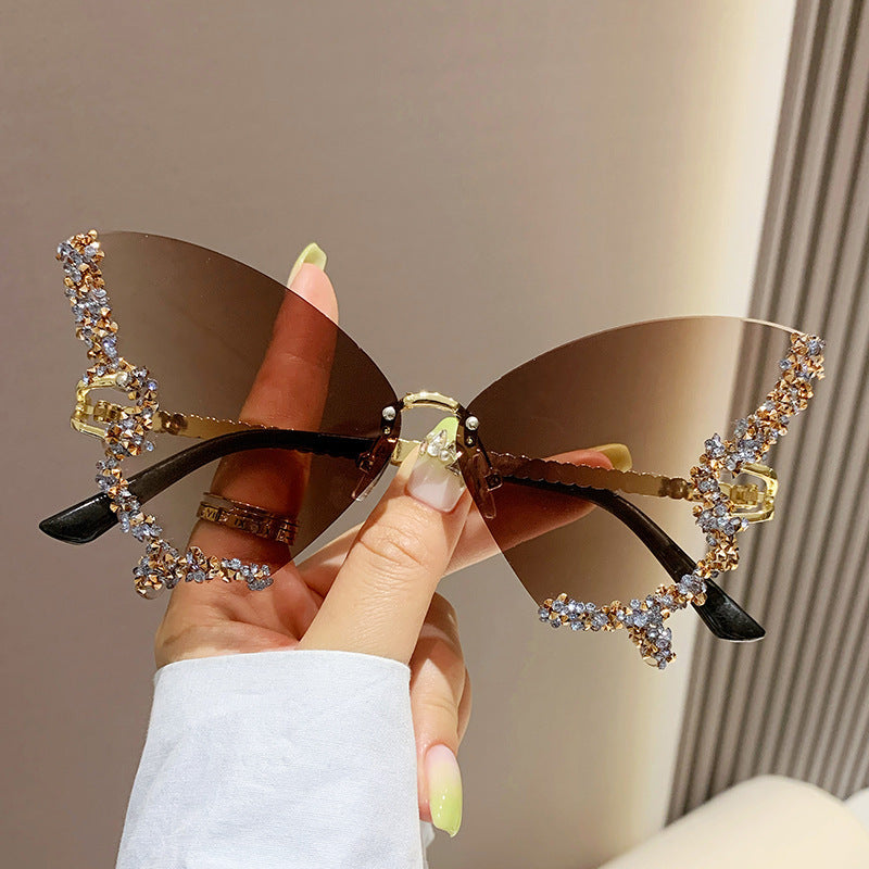 BUTTERFLY DAZZLE